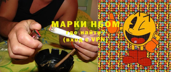прущие грибы Армянск
