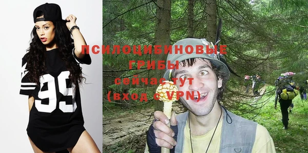 прущие грибы Армянск