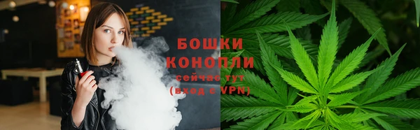 ГАЛЛЮЦИНОГЕННЫЕ ГРИБЫ Аркадак