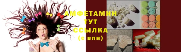 прущие грибы Армянск