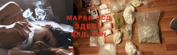 прущие грибы Армянск