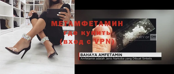 прущие грибы Армянск