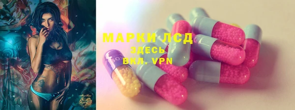 прущие грибы Армянск