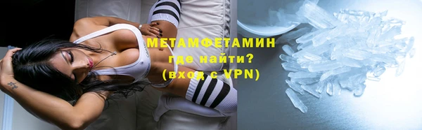 прущие грибы Армянск