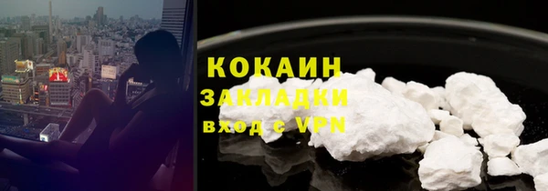 ГАЛЛЮЦИНОГЕННЫЕ ГРИБЫ Аркадак