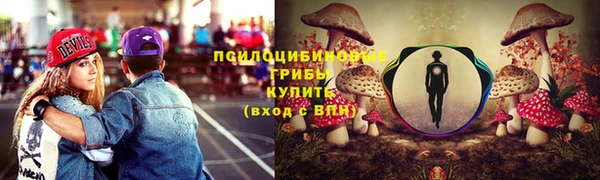 прущие грибы Армянск