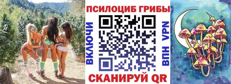 mega маркетплейс  Тарко-Сале  Галлюциногенные грибы прущие грибы 